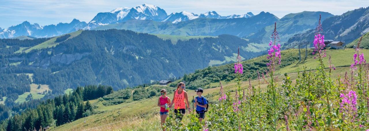 Fleur Des Montagnes Appartement Praz-sur-Arly Buitenkant foto