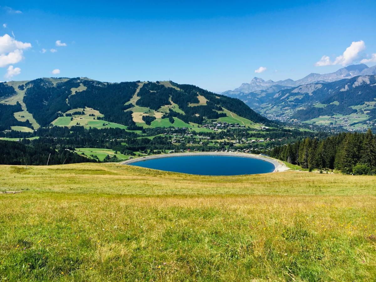 Fleur Des Montagnes Appartement Praz-sur-Arly Buitenkant foto