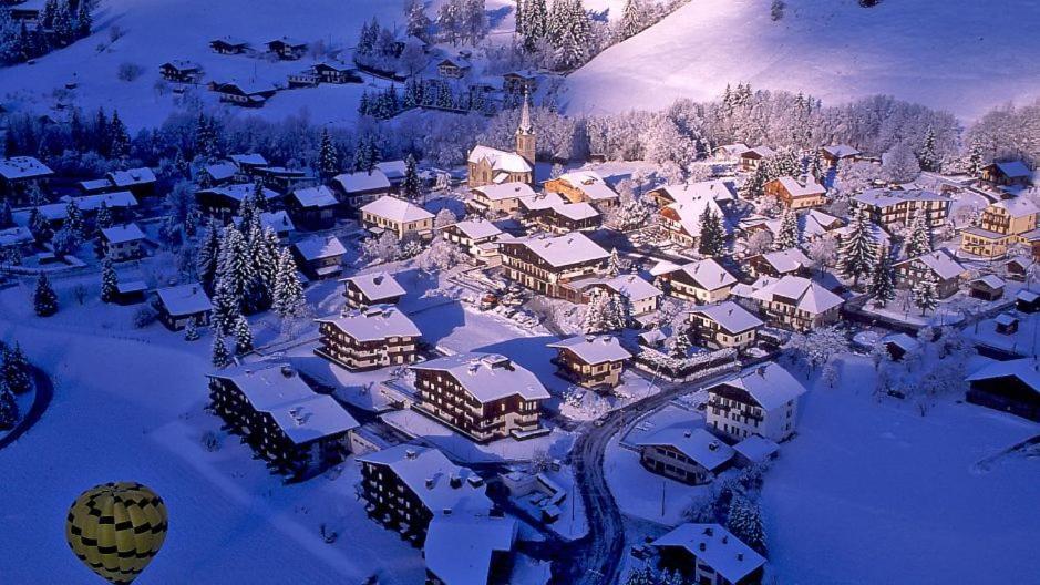 Fleur Des Montagnes Appartement Praz-sur-Arly Buitenkant foto