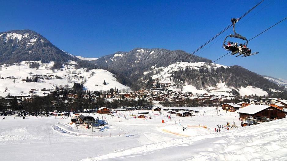 Fleur Des Montagnes Appartement Praz-sur-Arly Buitenkant foto